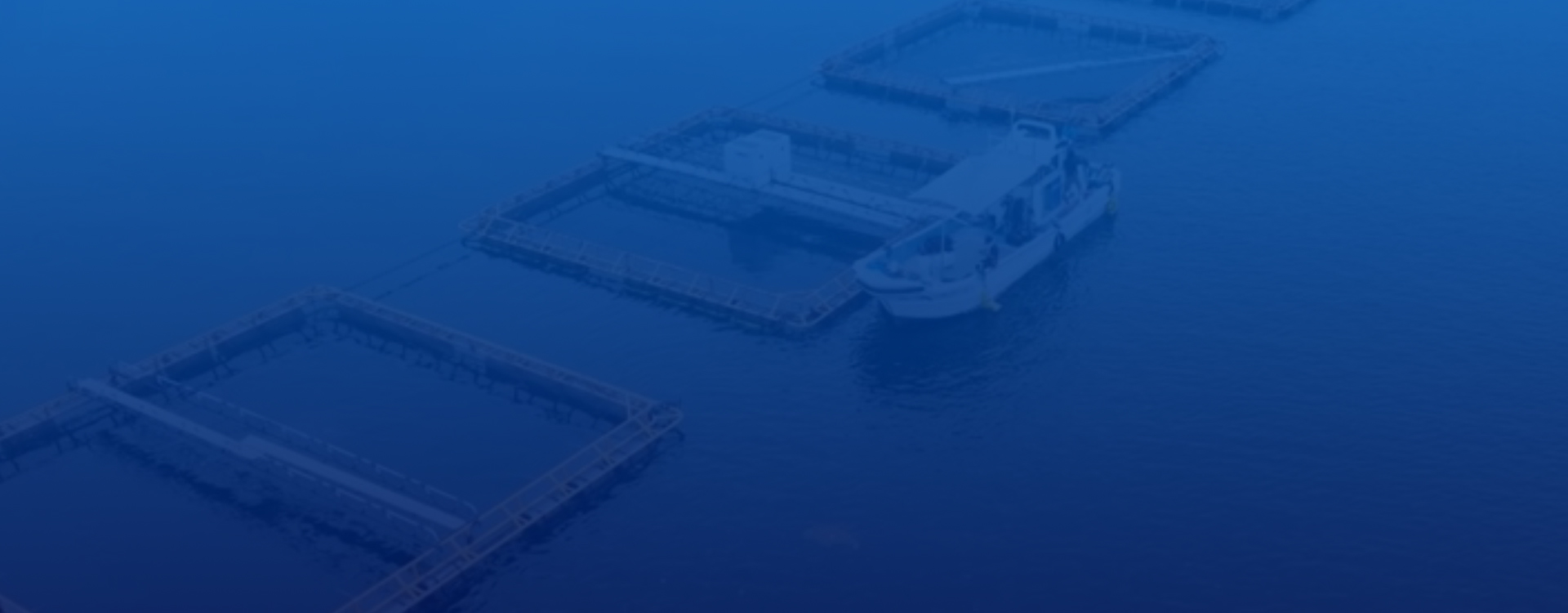 Transforming Aquaculture with 5G Functions